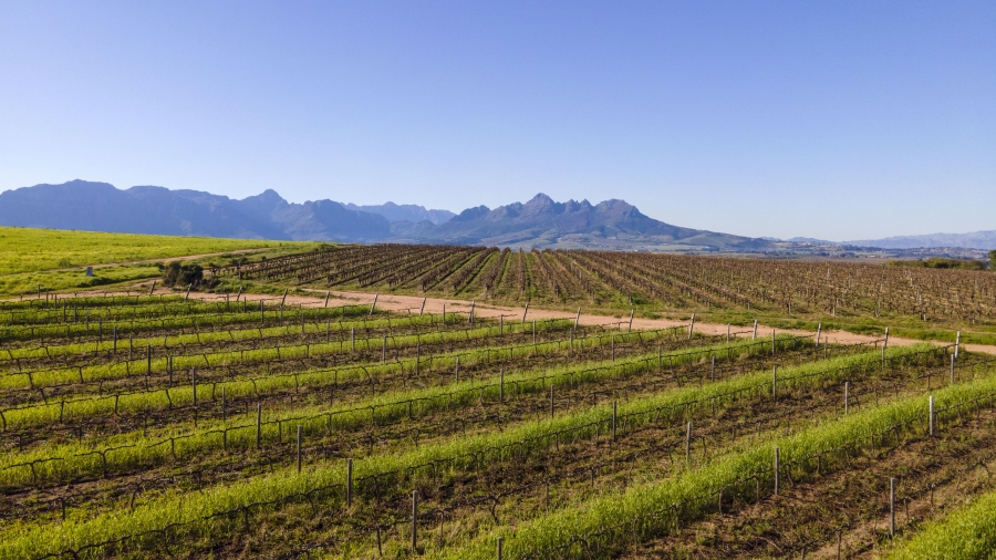 4 Bedroom Property for Sale in Lyndoch Western Cape